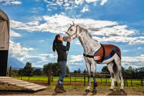 Bemer Horse Set With Woman
